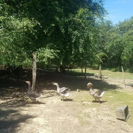 Matilon, 5 Min Eugénie Les Bains *