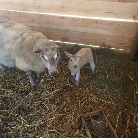 Matilon, 5 Min Eugenie Les Bains