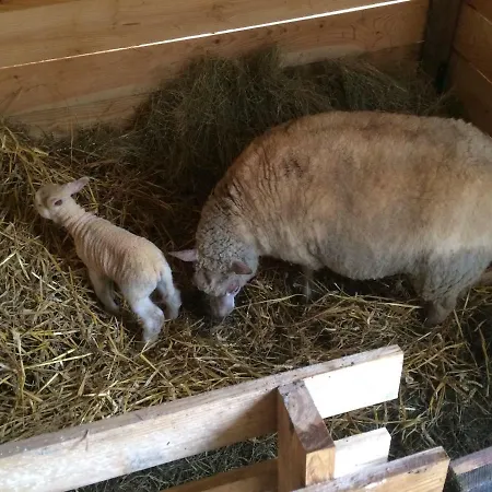 Matilon, 5 Min Eugenie Les Bains Buanes