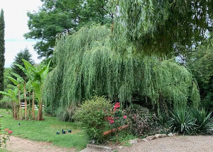 דירה Matilon, 5 Min Eugenie Les Bains *