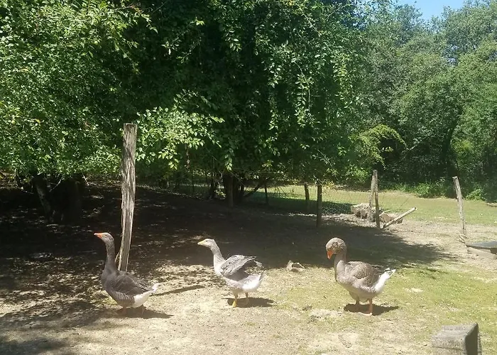 Matilon, 5 Min Eugenie Les Bains *