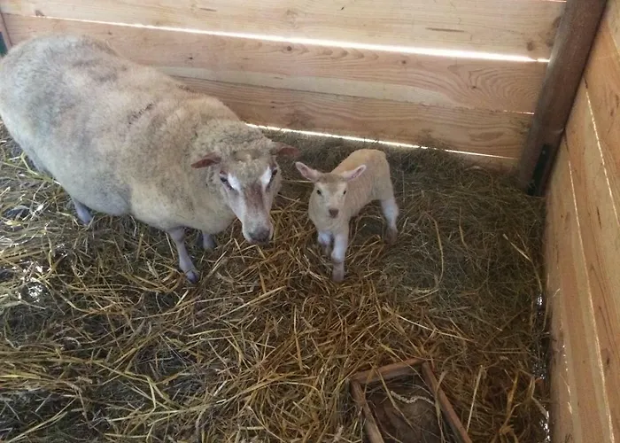 Matilon, 5 Min Eugenie Les Bains