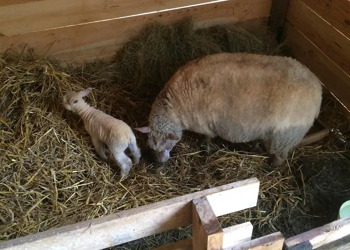 Matilon, 5 Min Eugenie Les Bains Buanes